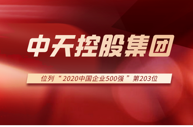 控股集团列2020中国企业500强第203位！